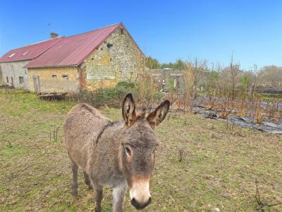 Annonce Vente 7 pi�ces Maison Sainte-scolasse-sur-sarthe 61