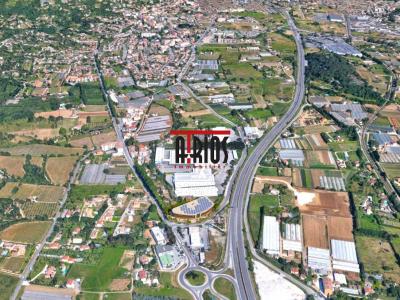 Annonce Location Local commercial Hyeres 83
