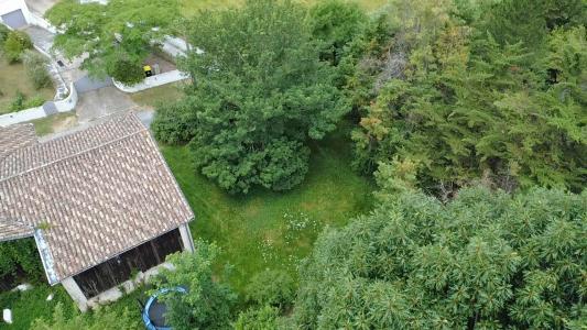 Annonce Vente Maison Cenac 33
