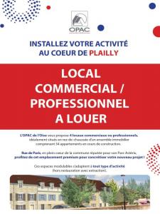 Louer Local commercial Plailly Oise