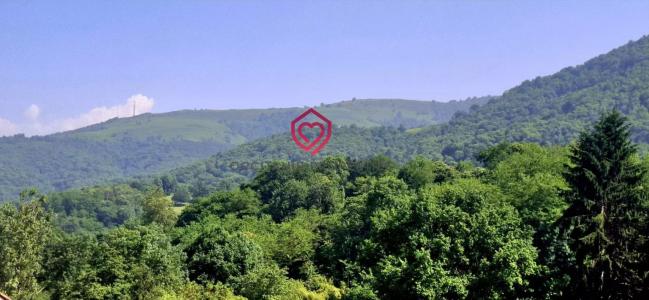 Annonce Vente 8 pi�ces Maison Ganac 09