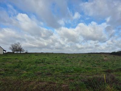 For sale Saunay 9235 m2 Indre et loire (37110) photo 1