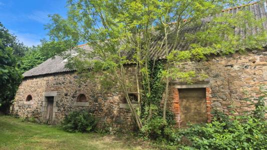 Acheter Maison 250 m2 Plougasnou
