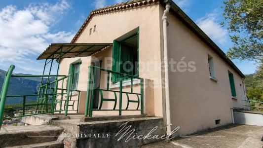 Annonce Vente 11 pi�ces Maison Quillan 11