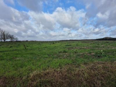 Acheter Terrain 4500 m2 Chateau-renault