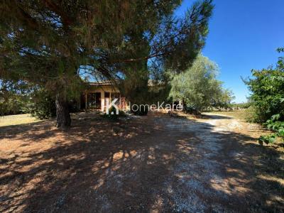 For sale Grisolles 4 rooms 110 m2 Tarn et garonne (82170) photo 0