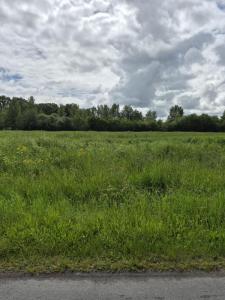 For sale Montpon-menesterol 1636 m2 Dordogne (24700) photo 0