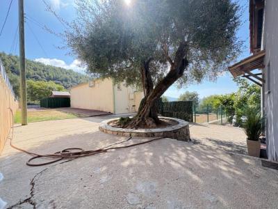 Louer Maison Falicon 1390 euros