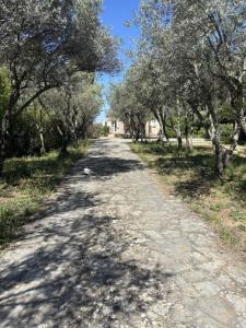 For sale Lorgues 5 rooms 130 m2 Var (83510) photo 0