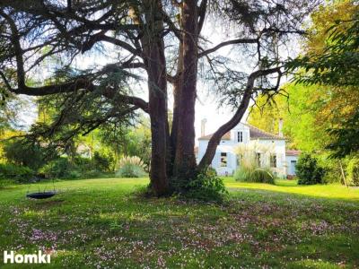 Acheter Maison 347 m2 Nogaro