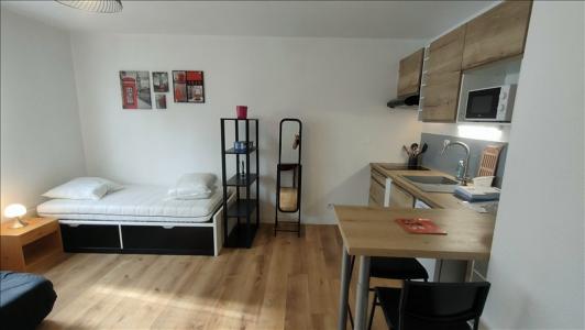 Annonce Location Appartement Lyon-7eme-arrondissement 69