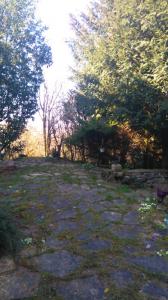 For rent Vandoeuvre-les-nancy 6 rooms 112 m2 Meurthe et moselle (54500) photo 1