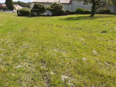 Annonce Vente Terrain  87
