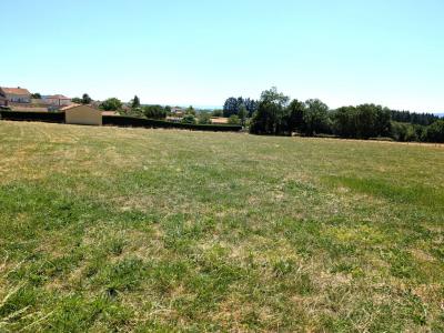 Acheter Terrain  Loire
