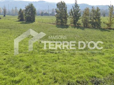 Annonce Vente Maison Revel 31