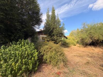 Annonce Vente 6 pi�ces Maison Plessis-trevise 94
