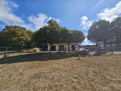 Acheter Prestige Nanteuil-en-vallee Charente