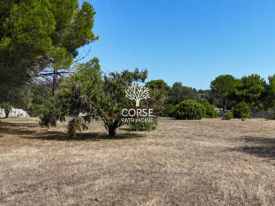 For sale Bonifacio 5 rooms 110 m2 Corse (20169) photo 1
