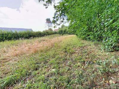 For sale Orchies 738 m2 Nord (59310) photo 0