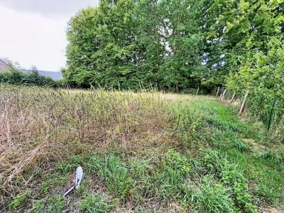 For sale Orchies 738 m2 Nord (59310) photo 1
