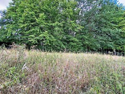 For sale Orchies 738 m2 Nord (59310) photo 2