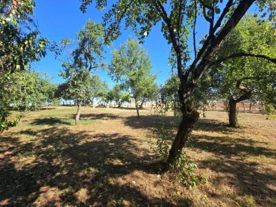 Acheter Maison 188 m2 Thervay