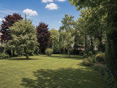 Annonce Vente 12 pi�ces Maison Calais 62