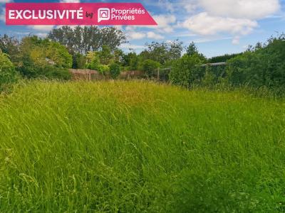 Annonce Vente 3 pi�ces Maison Wattrelos 59