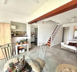 Annonce Vente 4 pi�ces Appartement Baie-mahault 971