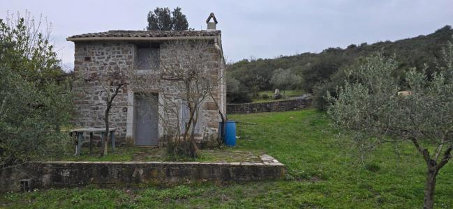 Annonce Vente Terrain Muy 83