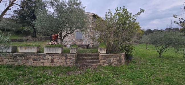 Acheter Terrain 4392 m2 Muy
