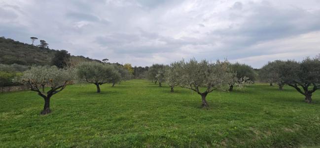 Acheter Terrain Muy 100000 euros
