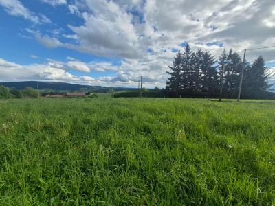 For sale Saint-genest-malifaux 1585 m2 Loire (42660) photo 2