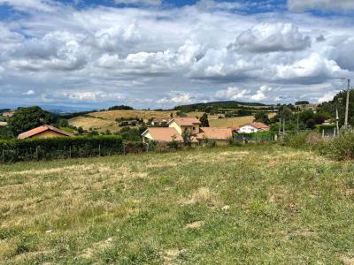 For sale Violay 830 m2 Loire (42780) photo 1