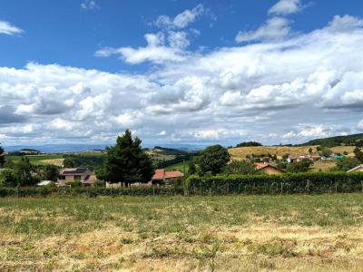 For sale Violay 830 m2 Loire (42780) photo 3