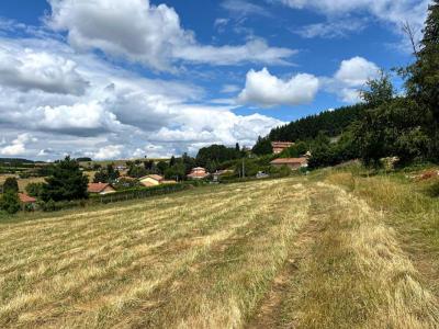 For sale Violay 830 m2 Loire (42780) photo 4