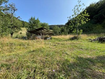 For sale Chevenoz 792 m2 Haute savoie (74500) photo 0