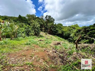Annonce Vente Terrain Sainte-luce 972