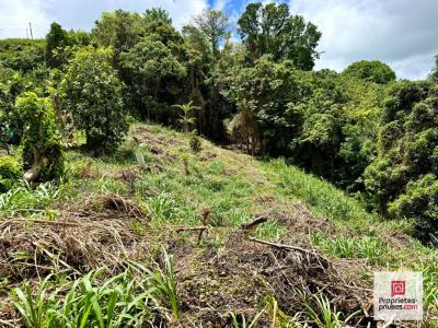 Annonce Vente Terrain Sainte-luce 972