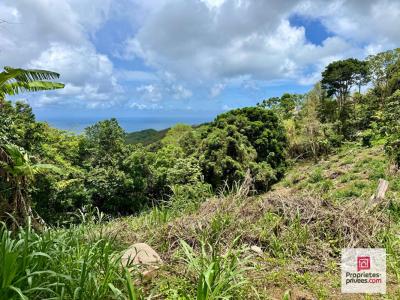 For sale Sainte-luce 5730 m2 Martinique (97228) photo 0