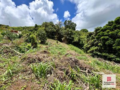 Annonce Vente Terrain Sainte-luce 972