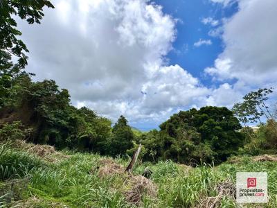 Acheter Terrain 5730 m2 Sainte-luce