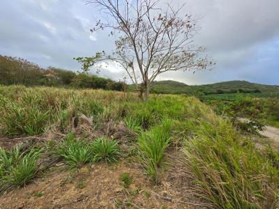 For sale Vauclin 614 m2 Martinique (97280) photo 2