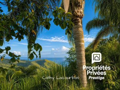 Annonce Vente 5 pi�ces Maison Pointe-noire 971