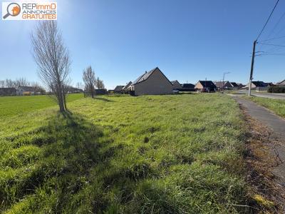 Annonce Vente Terrain Quaedypre 59