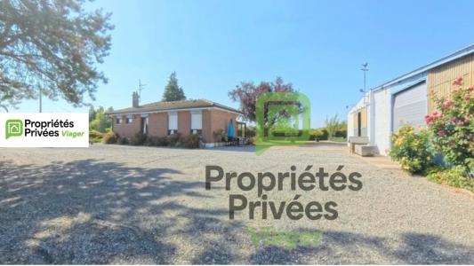 Acheter en viager Maison 119 m2 Louvroil