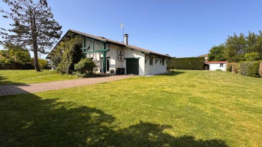 Acheter Maison 245 m2 Lege-cap-ferret