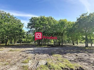 Annonce Vente Terrain Hourtin 33