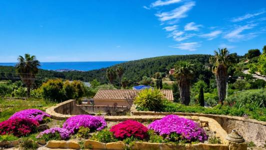 Annonce Vente 10 pi�ces Maison Bandol 83