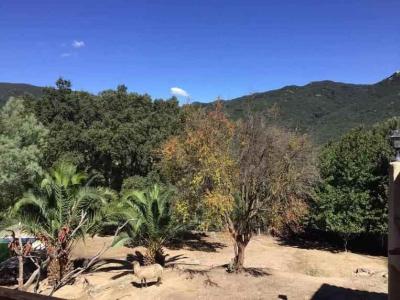 For sale Sartene 5 rooms 137 m2 Corse (20100) photo 2